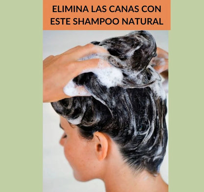 SHAMPOO CHAO CANAS 500 ML